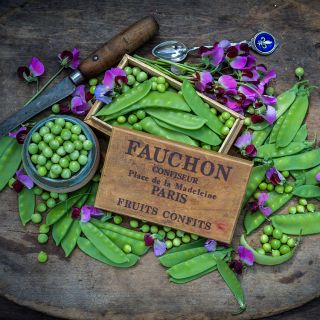 Carouby De Maussane Peas in vintage box.