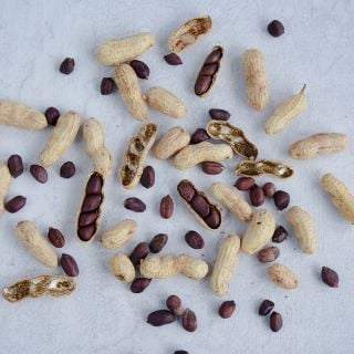Schronce's Black Peanuts