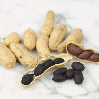Schronce's Black Peanut