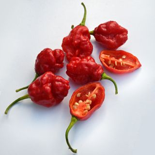 A half dozen Moruga Sweet Peppers with one sliced in half on white background.