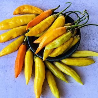Aji Habanero Hot Peppers in a bowl arranged on a light background.