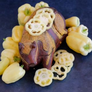 Albino Bull Nose Sweet Pepper with slices and Indian Bull décor on a dark background. 