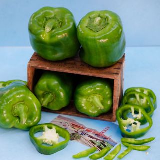 Green California Wonder Sweet Peppers in and on top of a wooden box surrounded by sliced peppers on a blue background.
