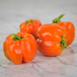 Four Etiuda Sweet Peppers, one in focus in the foreground, three out of focus in the background.