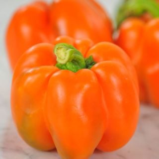 Three Orange Etiuda Sweet Peppers, one in focus in the foreground, two out of focus in the background.