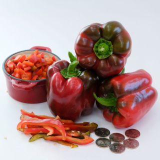 Three King of the North Sweet Peppers and a bowl of diced pepper, next to long pepper slices and coins on a white background.