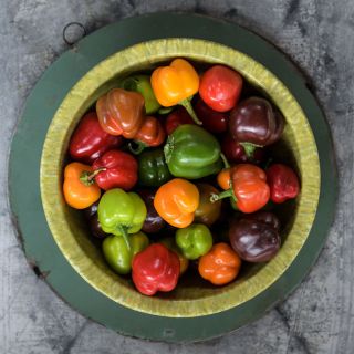 Bowl of Mini Bell Pepper Mix from above on grey background