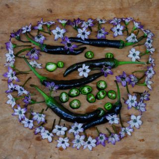 Murasaki flowers surround several Murasaki Purple Sweet Peppers and slices on a wooden background.