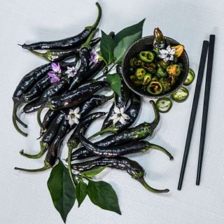 Several Murasaki Purple Sweet Peppers are whole and sliced, and the flowers are arranged around a bowl of slices and flowers with chopsticks on the side on a white background.