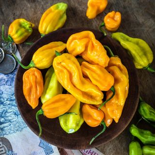 Ojeenmma Hot peppers in abowl with coins and money from Ghana on a wooden background.