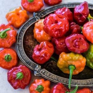 Bonnet Sweet Pepper in a decorative metal bowl.