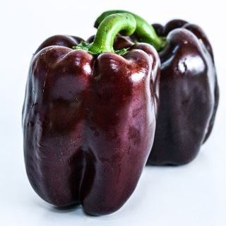 A couple of Chocolate Beauty Sweet peppers on a white background.