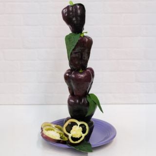 Five deep purple Zulu Sweet Peppers stacked one on top of another on a purple plate.