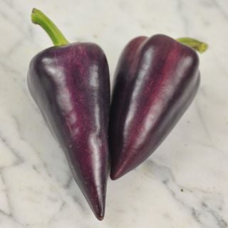 Two Violet Sparkle Peppers on a marble background.