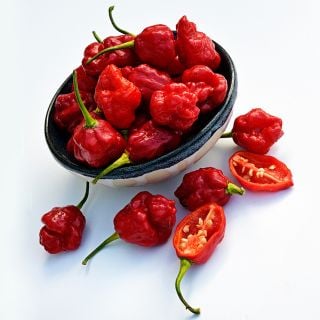Moruga Sweet Peppers in a ceramic bowl on a high key background.