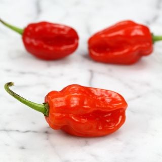 Aji Chombo close-up detail