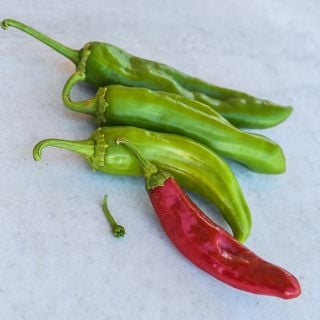 Anaheim Peppers in multiple colors on blue background.