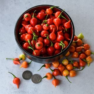 Biquinho Red Hot Peppers in black bowl and light, speckled background.