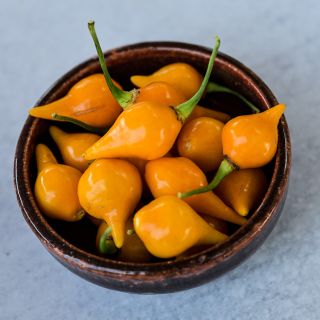 Bowl full Biquinho Yellow Peppers