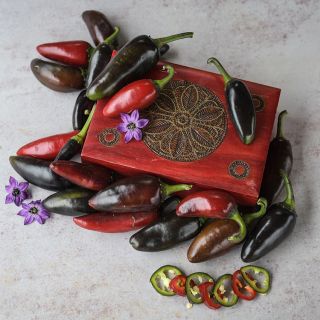 Black Hungarian Peppers in various maturity states and decorative wooden box.