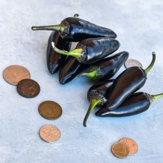 Black Hungarian Peppers with coins for size reference.