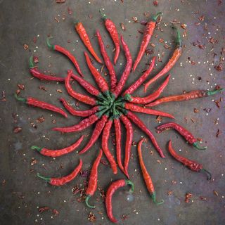 Cayenne Long Thin Peppers in sun pattern arrangement.