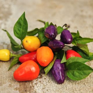 Chinese Five Color Pepper assortment with foliage on wooden tabletop.