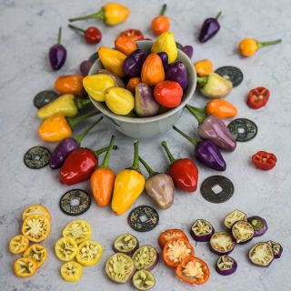 Chinese Five Color Pepper assortment and slices on marbled countertop.