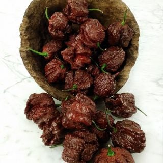 Chocolate Seven Pot Pepper in wooden bowl spilling onto countertop.