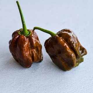 Chocolate Trinidad Scorpion Pepper on light background.