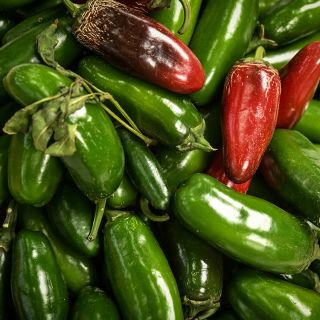 Craigs Grande Jalapeno in multiple stages of maturity.