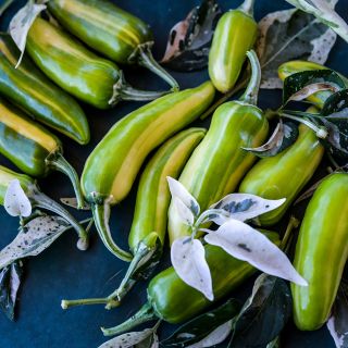 Green Fish Peppers with foliage on dark background.