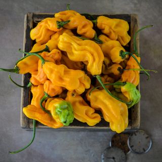 Goronong Hot Peppers in wooden box.