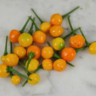 Aji Charapita Peppers on marble countertop.