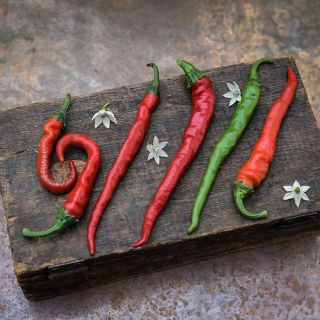 Cayenne Long Thin Peppers arranged decoratively on box top.