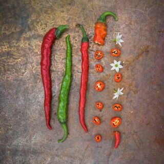 Cayenne Long Thin Peppers sliced with flowers.