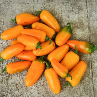 Pumpkin Spice Jalapeno on wooden tabletop.