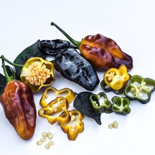 Puma Peppers with slices and seeds on white background.