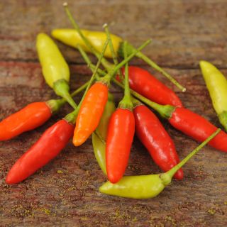 Tabasco Peppers on wooden tabletop.