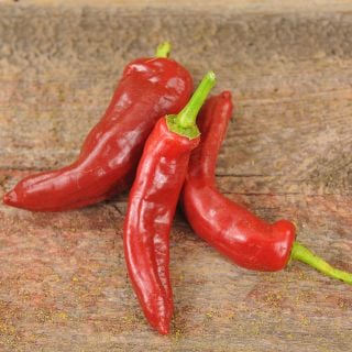 Three Tunisian Baklouti Peppers on wooden countertop.