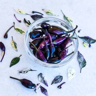 Jigsaw Peppers in clear bowl on lightly marbled background.