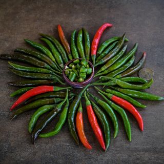 Korean Dark Green Peppers in sun arrangement with bowl in center on brown background.