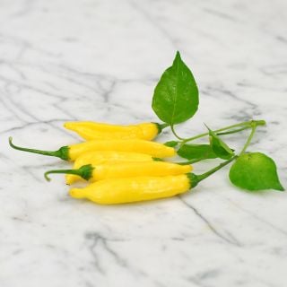 Five Lemon Drop Peppers with leaves on marble countertop.