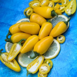 Lemon Spice Jalapeno peppers on lemon slices and blue background.