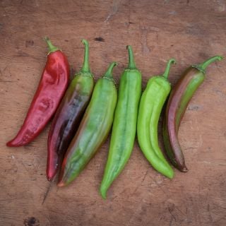 Big Jim Peppers in varying shades on wooden countertop.