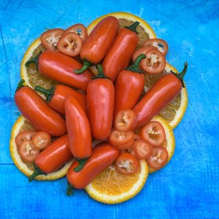 Orange Spice Jalapeno, whole and sliced, sitting atop orange slices.