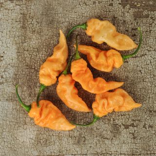 Jay's Peach Bhut Jolokia on wooden table.