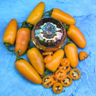 Pumpkin Spice Jalapeno with slices on blue background with pumpkin bowl.
