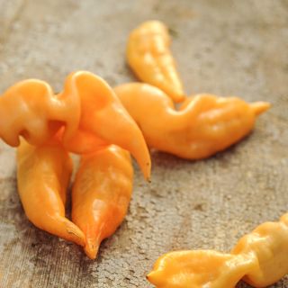 Sugar Rush Peach Peppers on wooden table top.