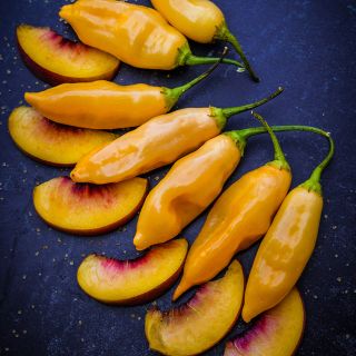Sugar Rush Peach Peppers with peach slices on blue background.